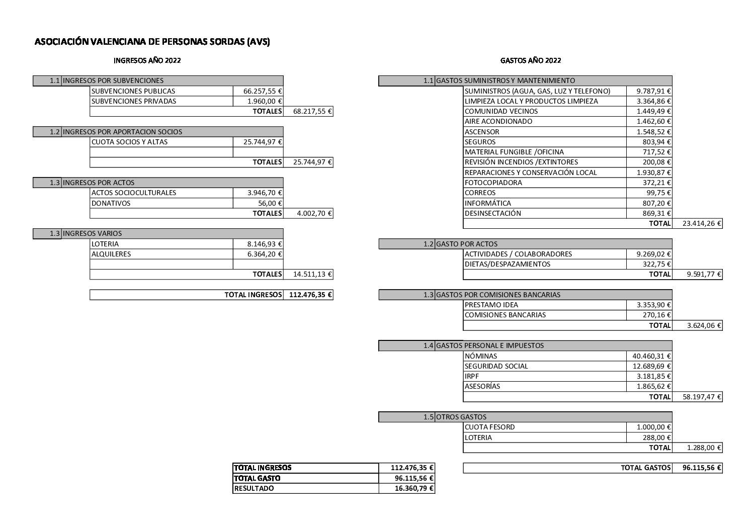 Cuentas anuales 2022 AVS